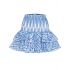 Blue Noa embroidered mini Skirt