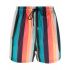 Multicolored stripes Swim Shorts