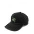 Embroidered leaf black baseball Cap