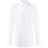 White classic collared Shirt