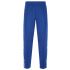Blue jogging Pants