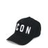 Icon baseball hat