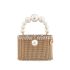 Holli Luce gold bag with pearls