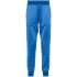 Blue drawstring-waist side-stripe track pants