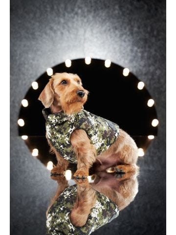 Moncler - Poldo Dog Couture Mondog gilet