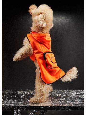 Moncler - Poldo Dog Couture Mondog mantella