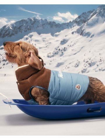 Moncler - Poldo Dog Couture gilet per cani multicolore