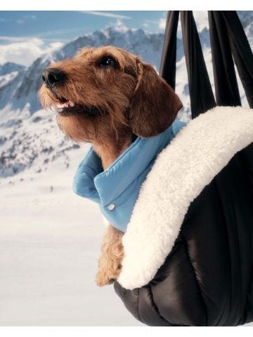 Moncler- Poldo Dog Couture trasportino nero imbottito