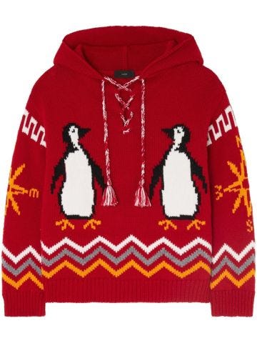 For The Love Of Pengui knit hoodie